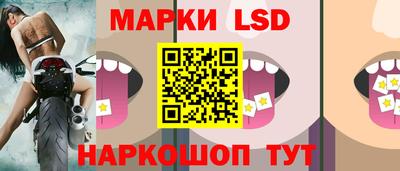гидропоника Краснознаменск