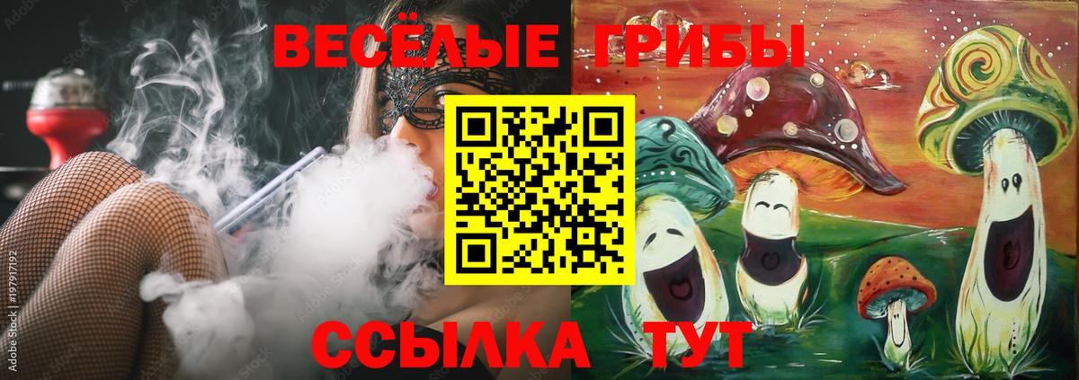 Галлюциногенные грибы Psilocybine cubensis  Вход с VPN  Казань  Псилоцибиновые грибы GOLDEN TEACHER 