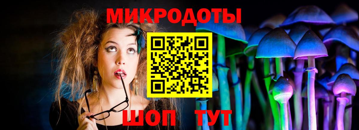 Галлюциногенные грибы Psilocybe Казань